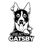 Great Gatsby Auto Spa Chicago