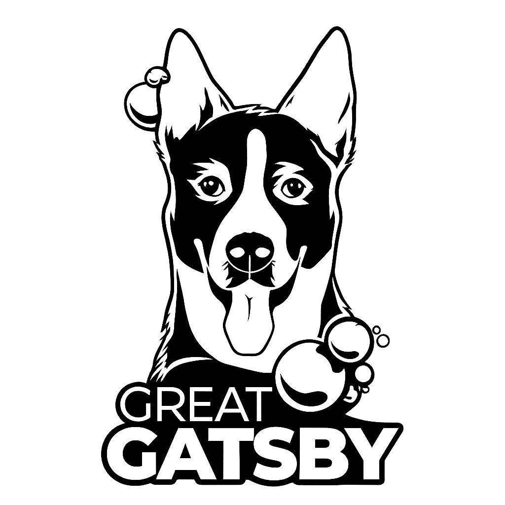 Great Gatsby Auto Spa Chicago
